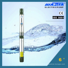 Mastra Submersible Pump 6 &quot;(R150-DS)